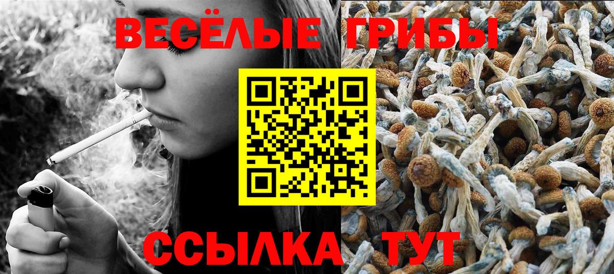 Псилоцибиновые грибы мухоморы Азов