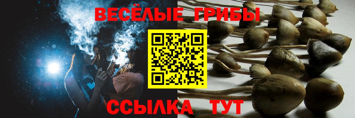 Азов  Галлюциногенные грибы MAGIC MUSHROOMS  Псилоцибиновые грибы Magic Shrooms  Вход с VPN 